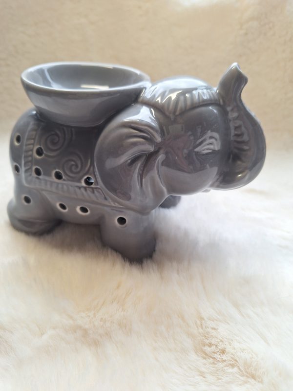 Olifant brander grijs - Afbeelding 2