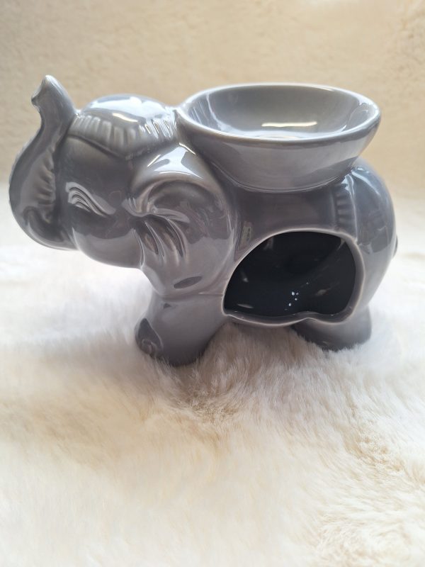 Olifant brander grijs