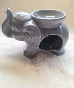 Olifant brander grijs