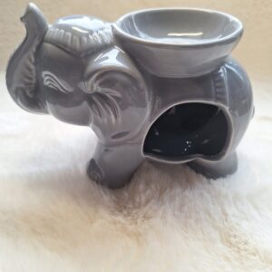 Olifant brander grijs