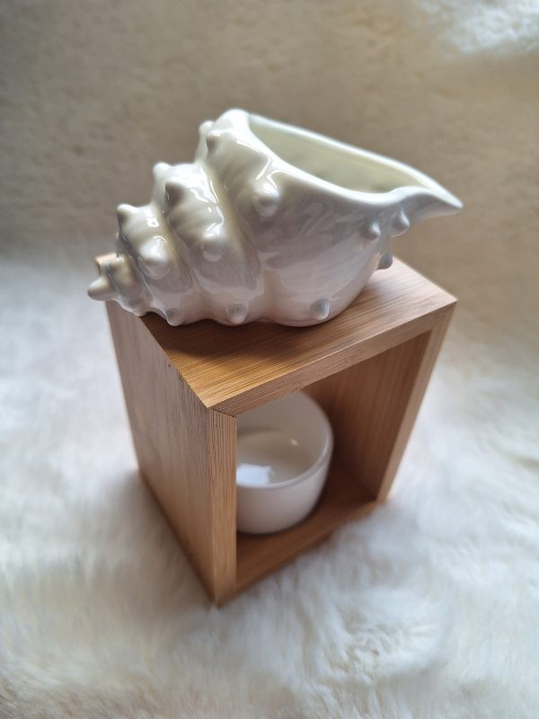 Schelp Brander kleur Wit