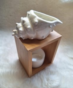 Schelp Brander kleur Wit