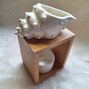 Schelp Brander kleur Wit