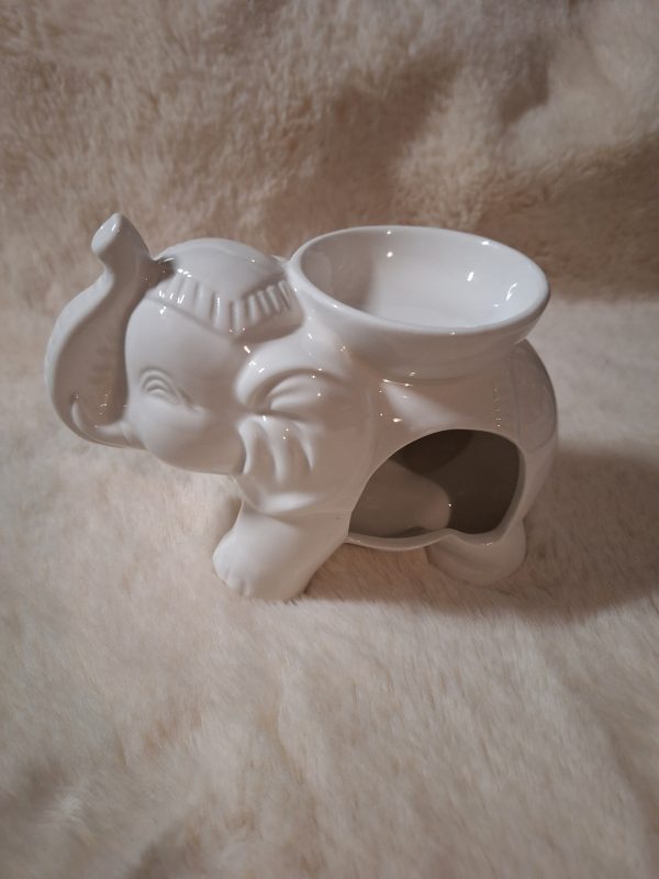 Olifant Brander