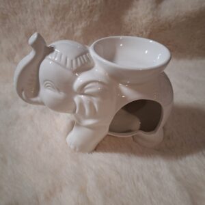 Olifant Brander