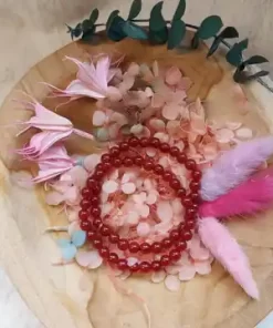 Kristallen Armband Rode Jaspis
