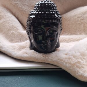 Boedha brander