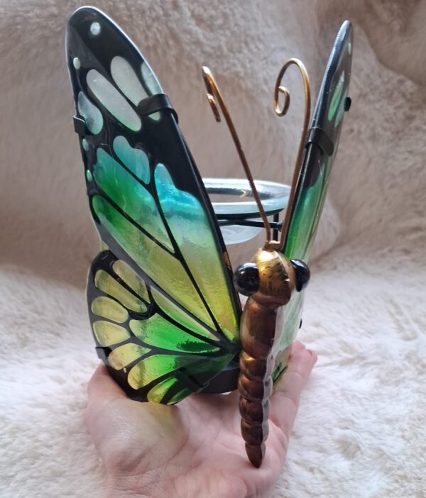 Vlinder Brander Groenblauwgeel