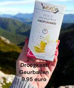 wexor yang yang geurballen