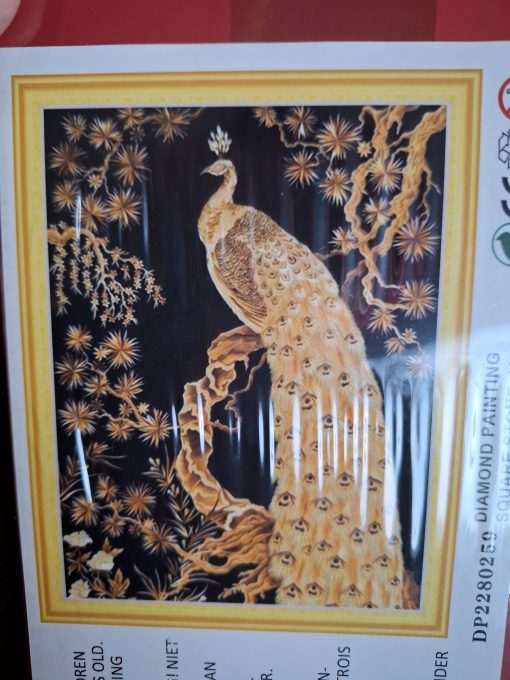 painting 6 verschillende - Afbeelding 5