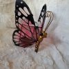 Vlinder Brander Roze